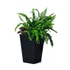 Kép 1/3 - Rattan planter S virágtartó