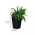 Kép 2/3 - Rattan planter S virágtartó