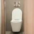 Kép 6/14 - Ride fali, rimless WC soft close ülőkével