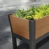 Kép 4/5 - Darwin garden bed rpo műanyag kerti virágláda