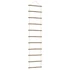 Kép 2/7 - Fali dekorációs létra formájú 50x200 cm Természetes ág