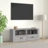 Kép 1/10 - Szürke sonoma színű szerelt fa TV-szekrény 100 x 35 x 40 cm