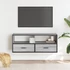 Kép 3/11 - Szürke sonoma színű szerelt fa és fém TV-szekrény 100x31x39,5cm