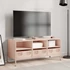 Kép 3/11 - Rózsaszín hidegen hengerelt acél TV-szekrény 101,5x39x43,5 cm