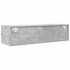 Kép 8/11 - Betonszürke szerelt fa TV-szekrény 100x31x25,5cm